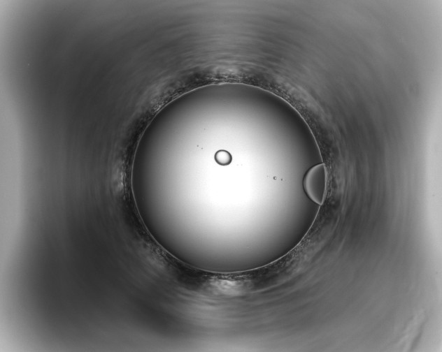 X0000096720706200802051443