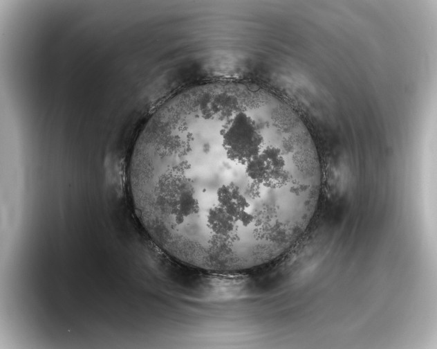X0000096720707200802051443