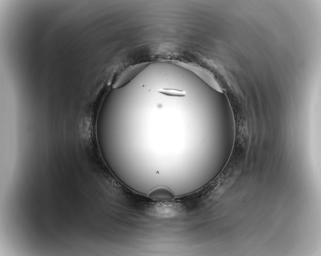 X0000096720708200802051443