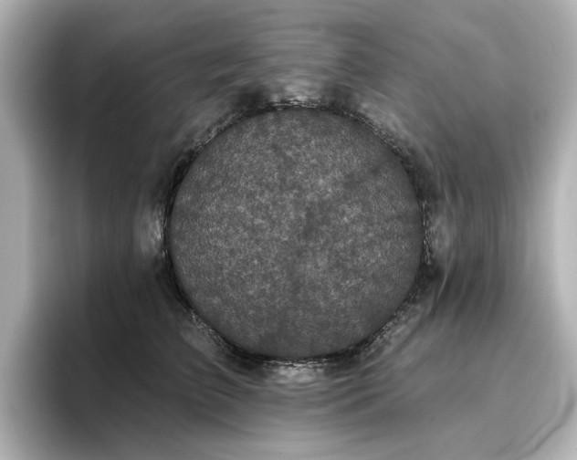 X0000096720709200802051443