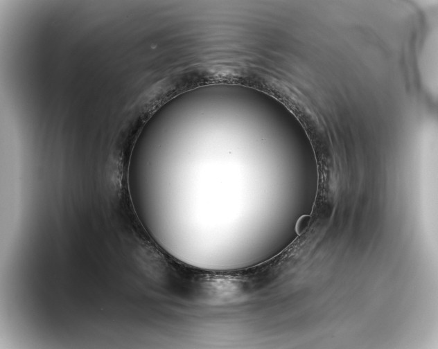X0000096720710200802051443