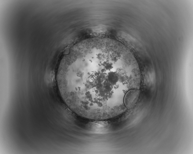 X0000096720711200802051443