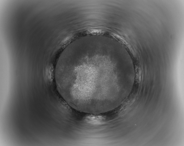 X0000096720712200802051443