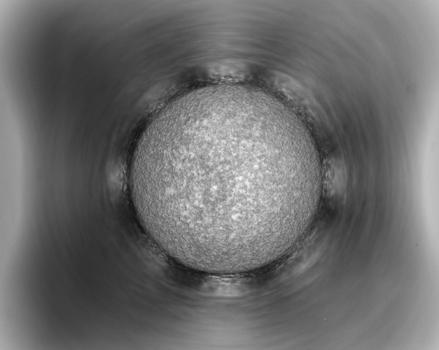 X0000096720713200802051443