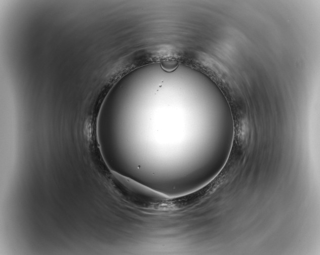 X0000096720715200802051443