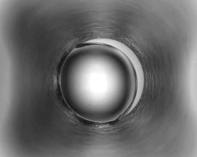 X0000096720716200802051443