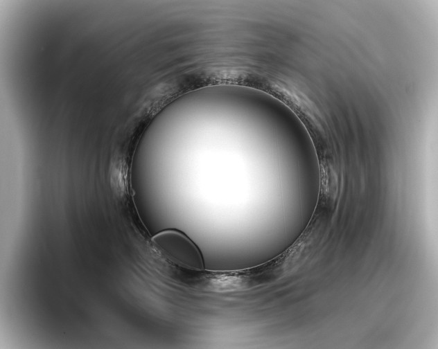 X0000096720718200802051443
