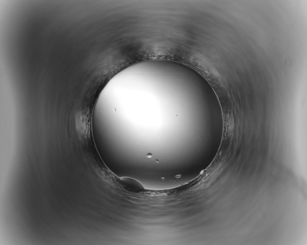 X0000096720719200802051443