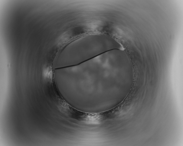 X0000096720720200802051443