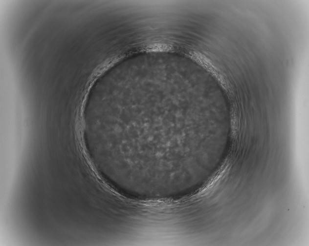 X0000096720721200802051442