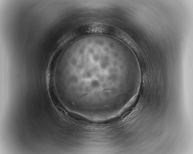X0000096720722200802051442