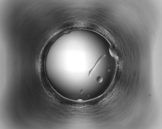X0000096720724200802051442