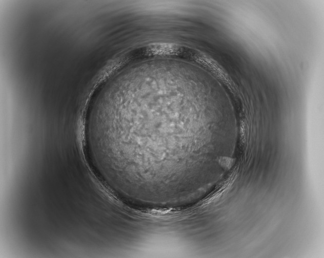 X0000096720725200802051442