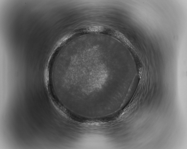 X0000096720726200802051442