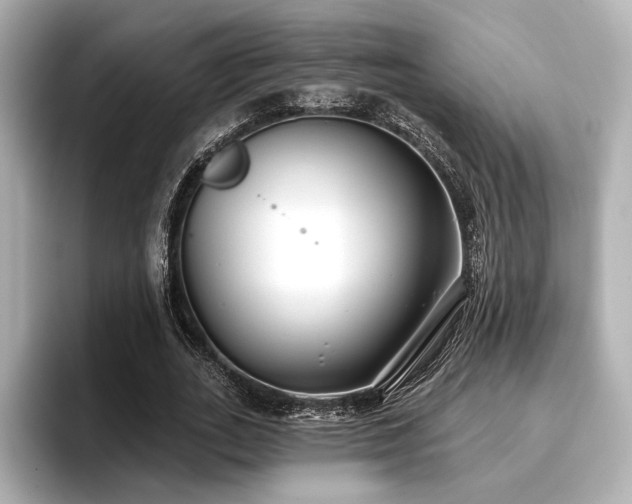 X0000096720727200802051442