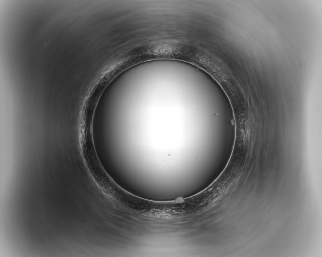X0000096720728200802051442