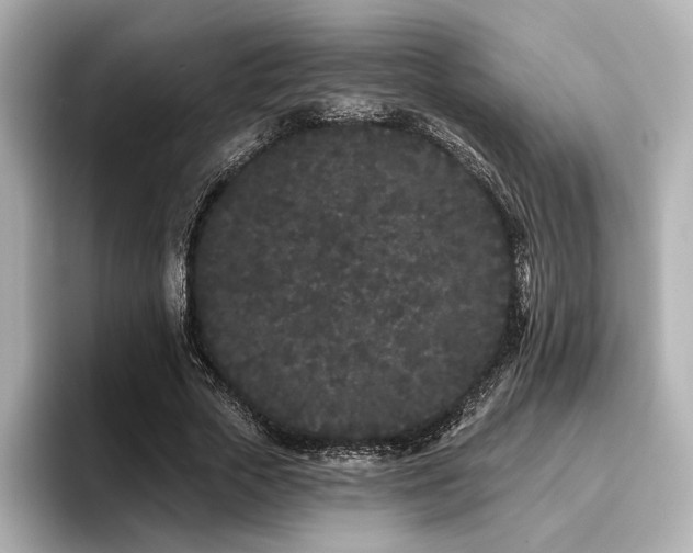 X0000096720729200802051442