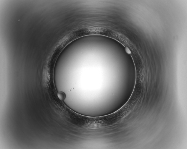 X0000096720731200802051442