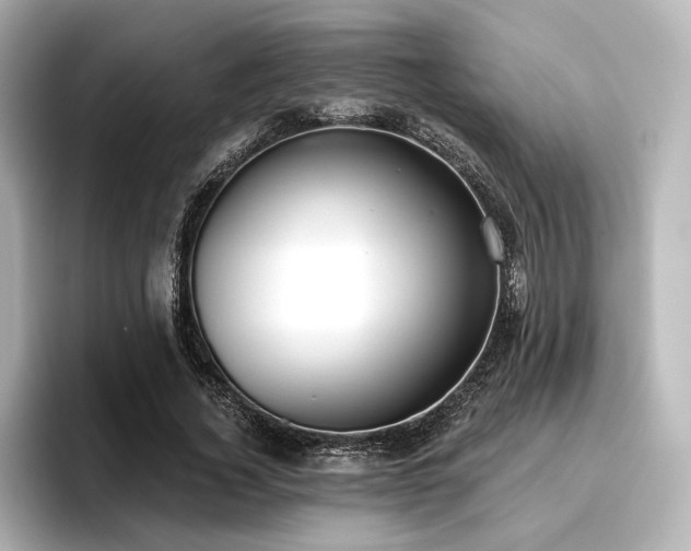 X0000096720732200802051442