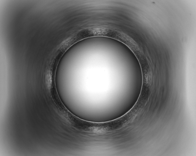 X0000096720733200802051442