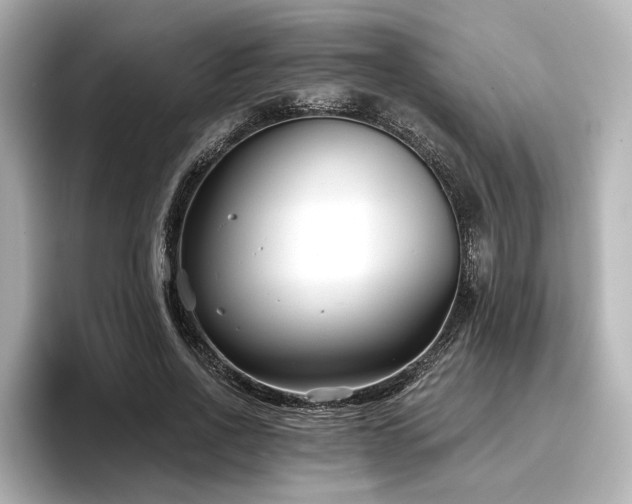 X0000096720734200802051442