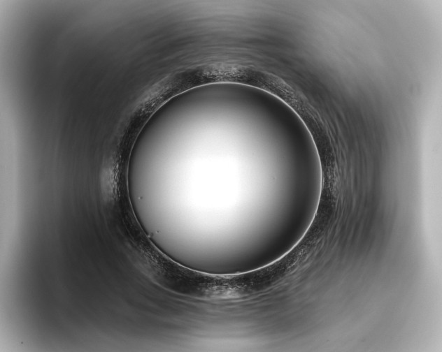 X0000096720735200802051442