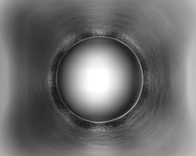 X0000096720738200802051442