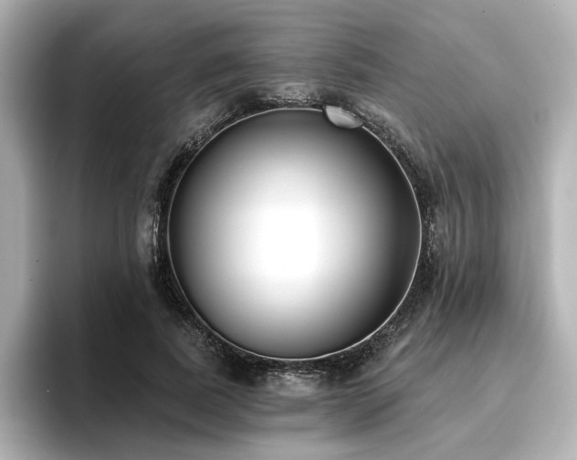 X0000096720739200802051442