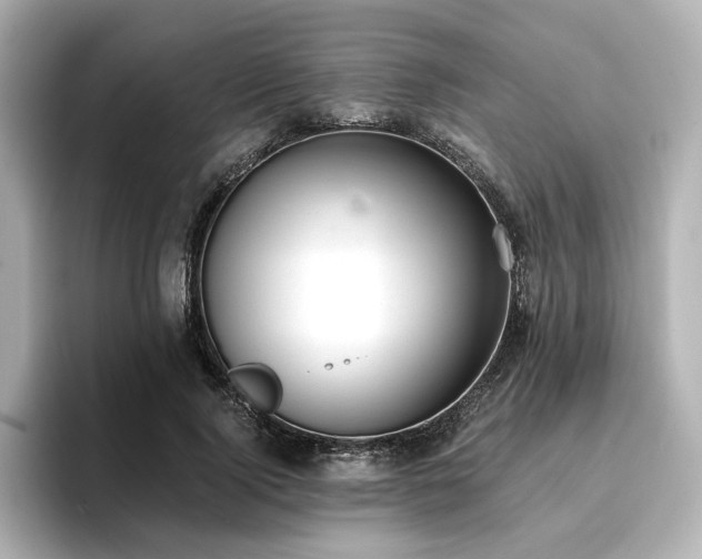 X0000096720740200802051442