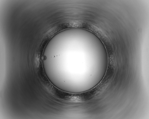 X0000096720741200802051442