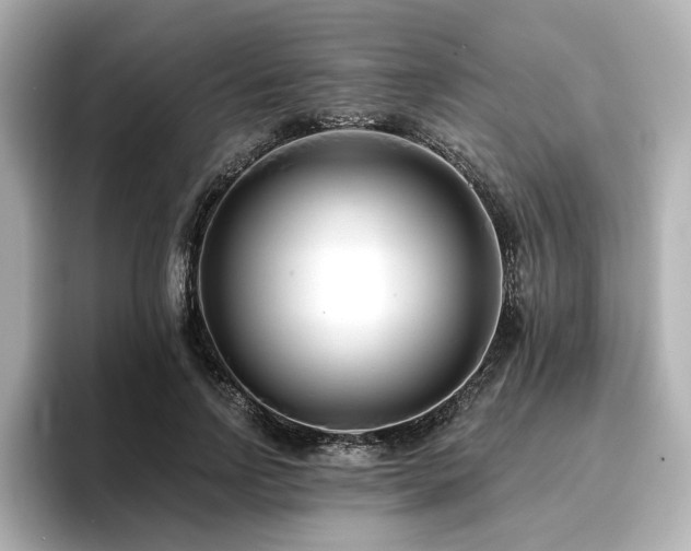 X0000096720742200802051442