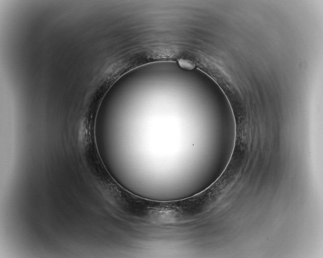 X0000096720743200802051442
