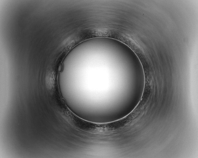 X0000096720744200802051442