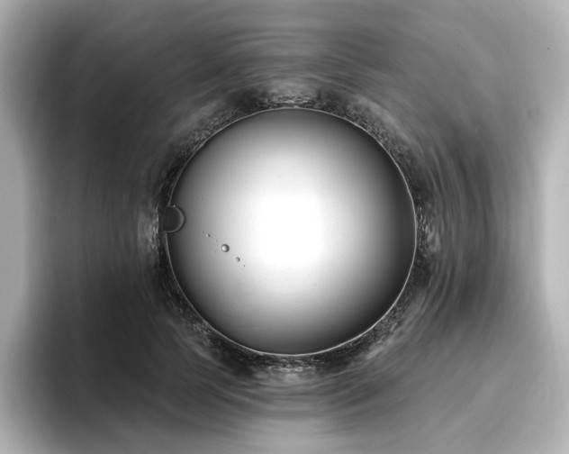 X0000096720745200802051442