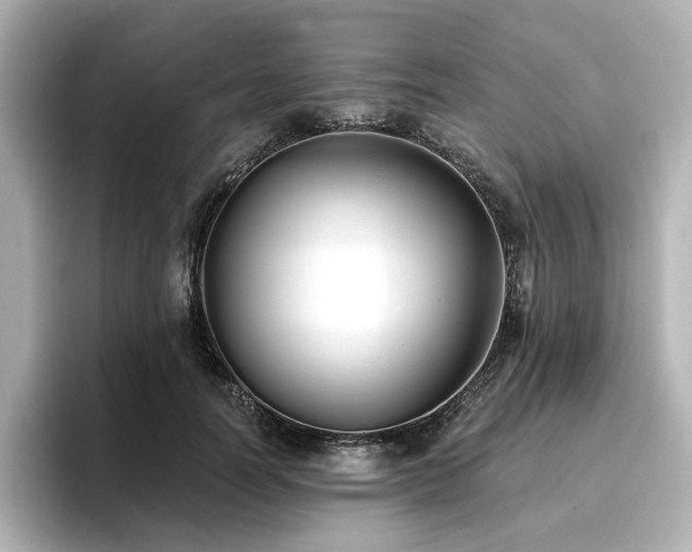 X0000096720746200802051442