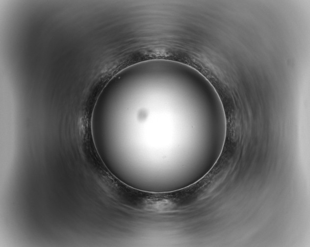 X0000096720747200802051442