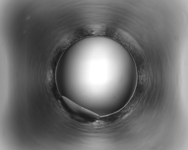 X0000096720748200802051442