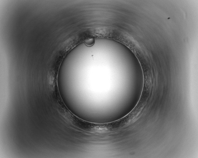 X0000096720749200802051442