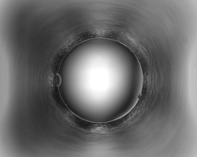 X0000096720750200802051442
