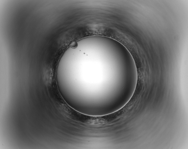 X0000096720752200802051442