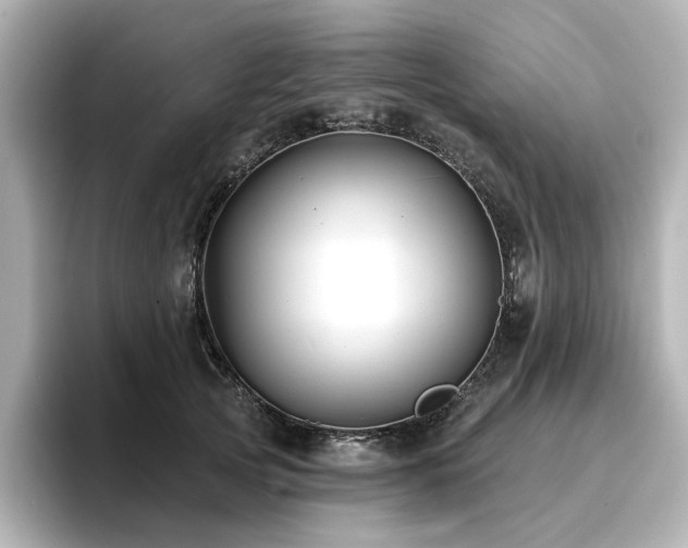 X0000096720753200802051442