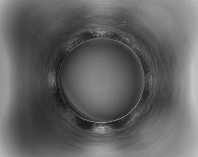 X0000096720754200802051442