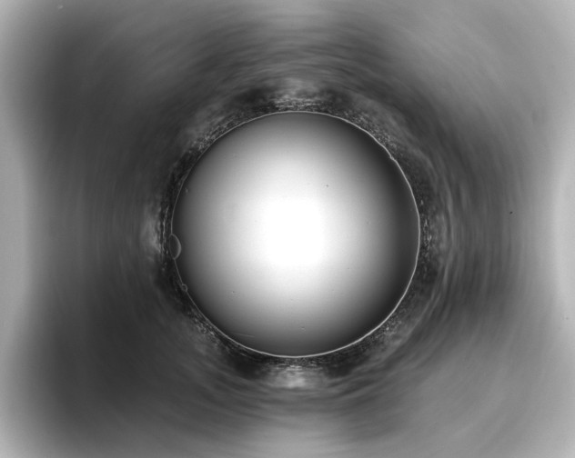 X0000096720755200802051442