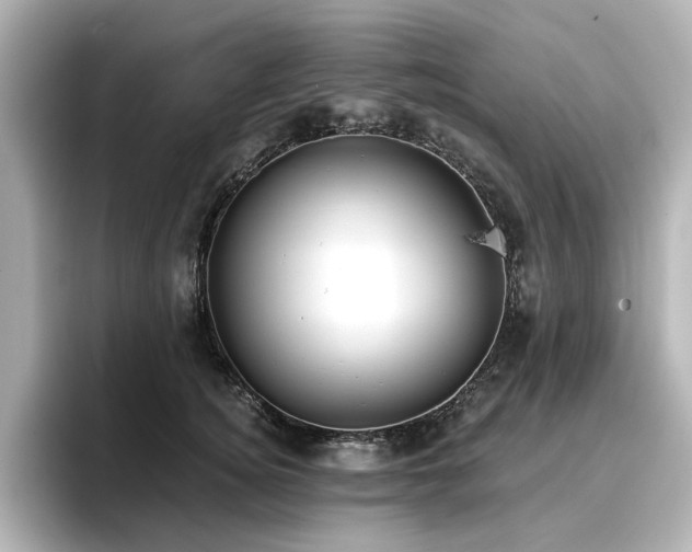 X0000096720756200802051442