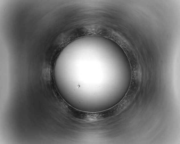 X0000096720757200802051442