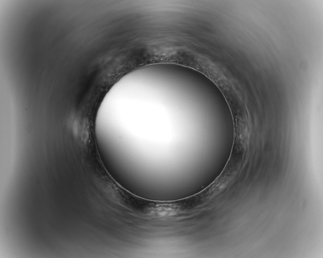 X0000096720758200802051442