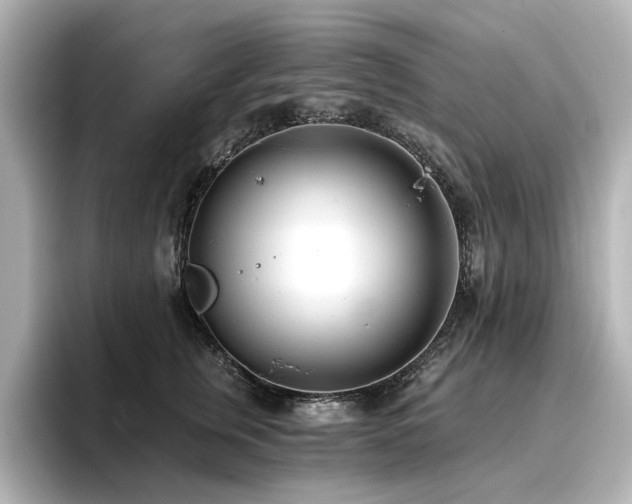 X0000096720759200802051442