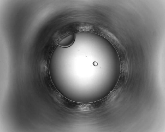 X0000096720761200802051442