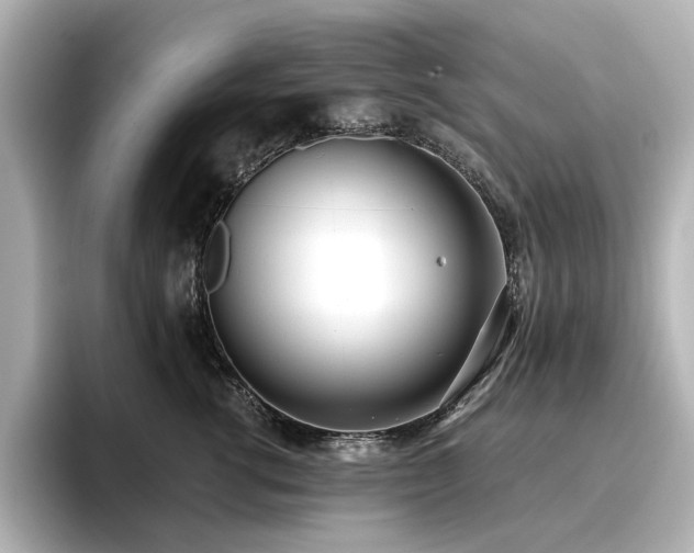 X0000096720762200802051442