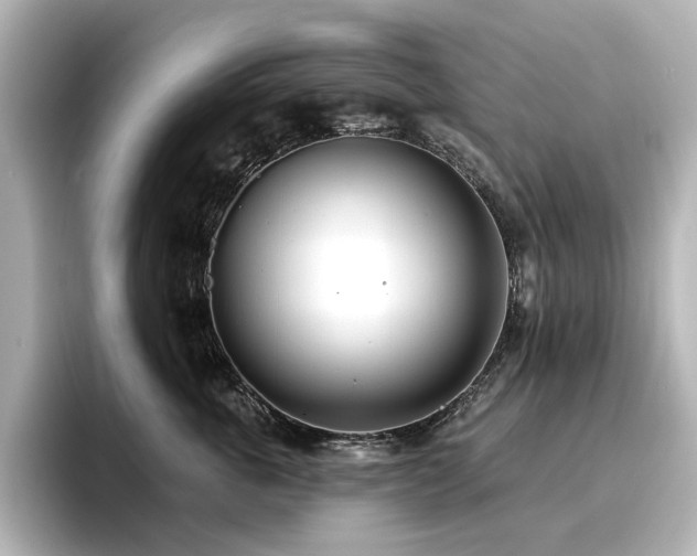 X0000096720763200802051442